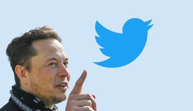 Elon Musk Twitter combo